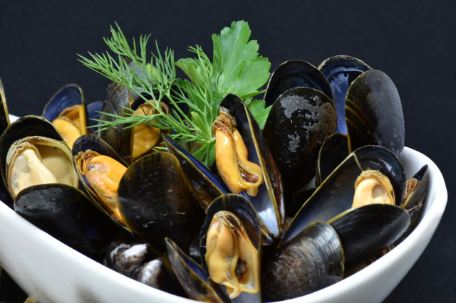 Mussel Halfshell