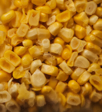 Sweet Corn